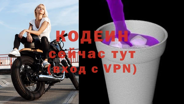 амф Горняк