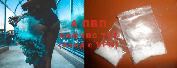 амф Горняк