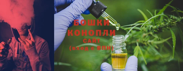 амф Горняк