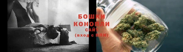 амф Горняк