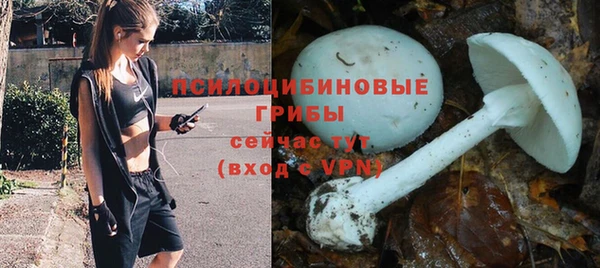 mdpv Горнозаводск