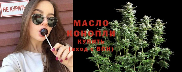 амф Горняк