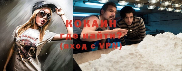 амф Горняк