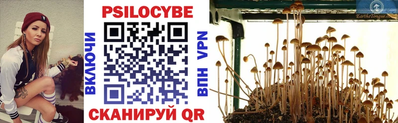 купить наркоту  mega вход  Псилоцибиновые грибы мухоморы  Невель 